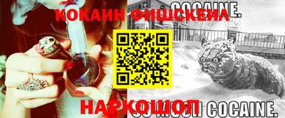 гашик Кинель