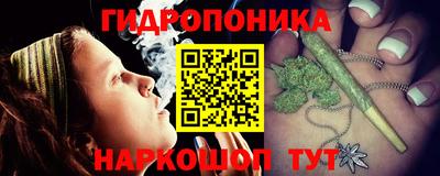гашик Кинель