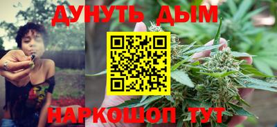 гашик Кинель