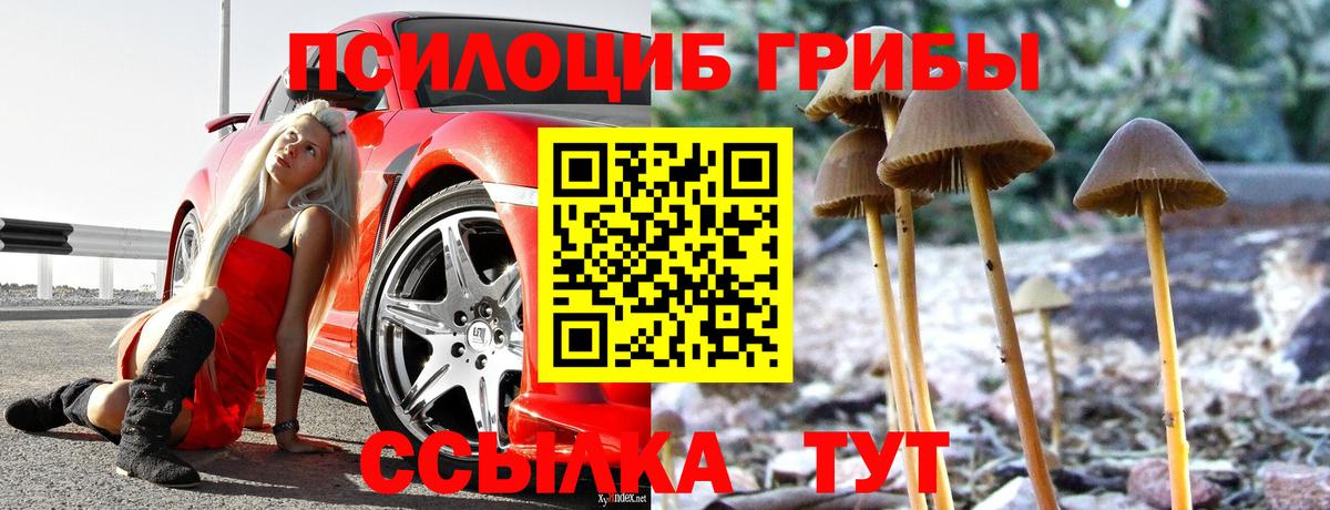 дарнет шоп  Псилоцибиновые грибы мухоморы  Вход с VPN  Галлюциногенные грибы Magic Shrooms  Комсомольск-на-Амуре 