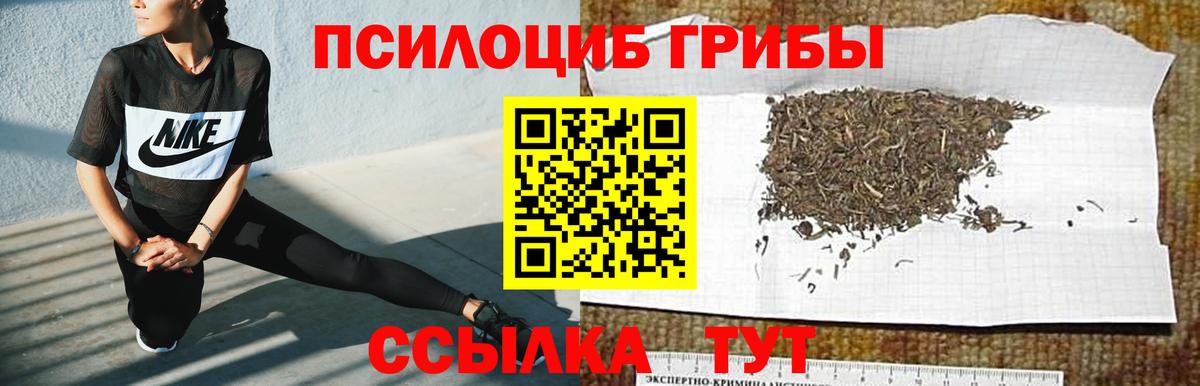 Галлюциногенные грибы Cubensis Комсомольск-на-Амуре